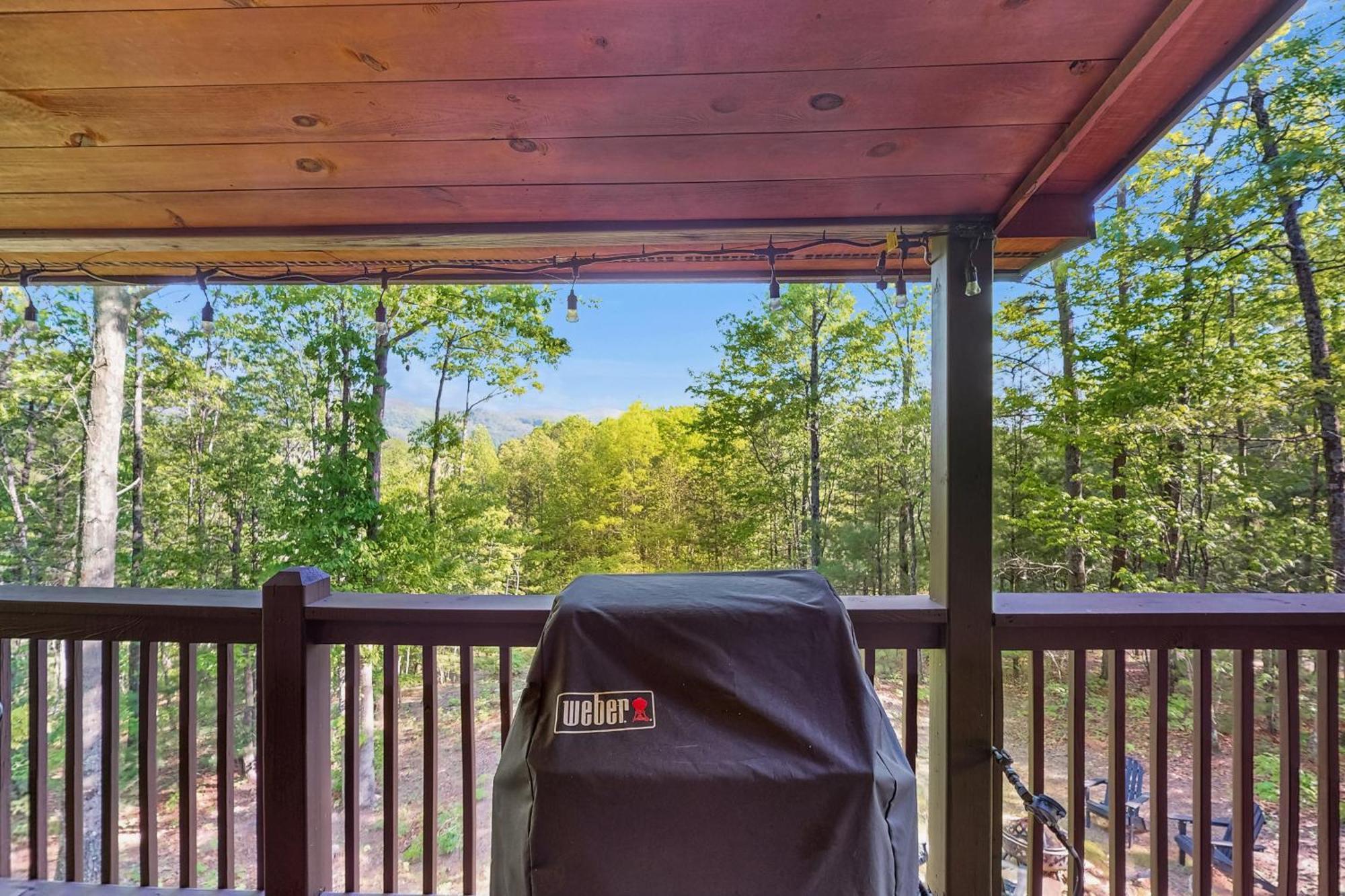 Picabo Villa Blue Ridge Exterior photo